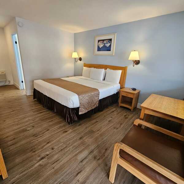 Pool View - 1 King Bed Pet Friendly Photo 1