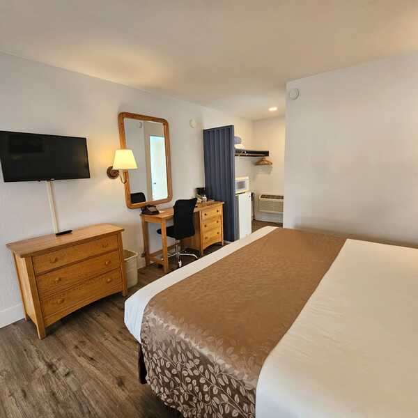 Pool View - 1 King Bed Pet Friendly Photo 2