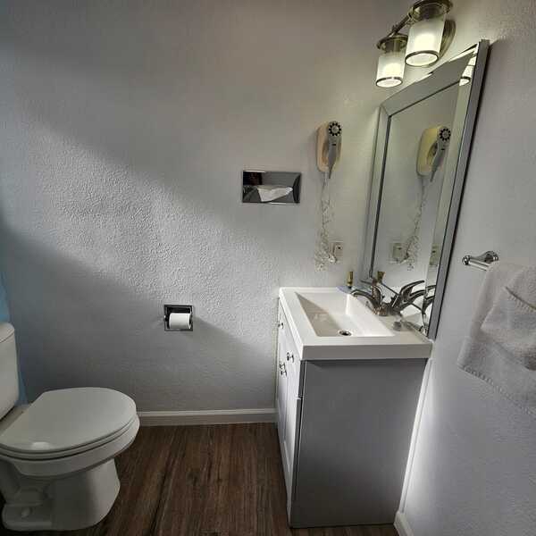 Pool View - 1 King Bed Pet Friendly Photo 3