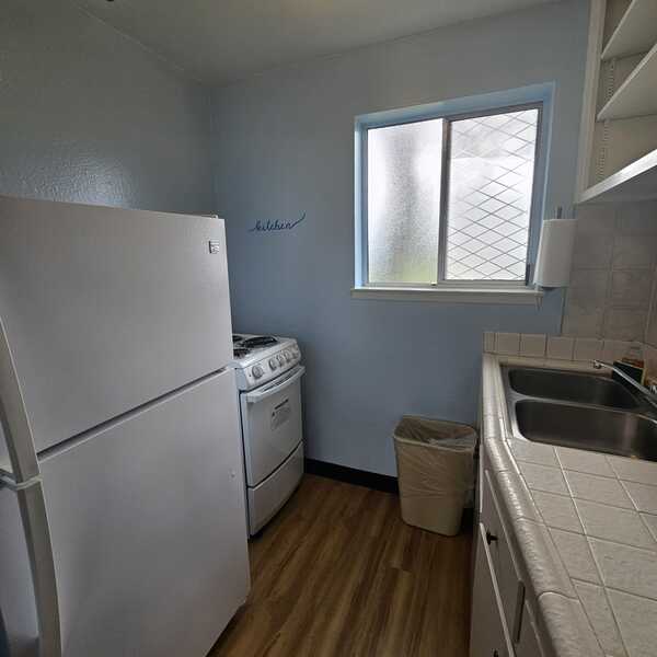 Lawn View - 1 Queen & 2 Double Beds / Kitchen Photo 5